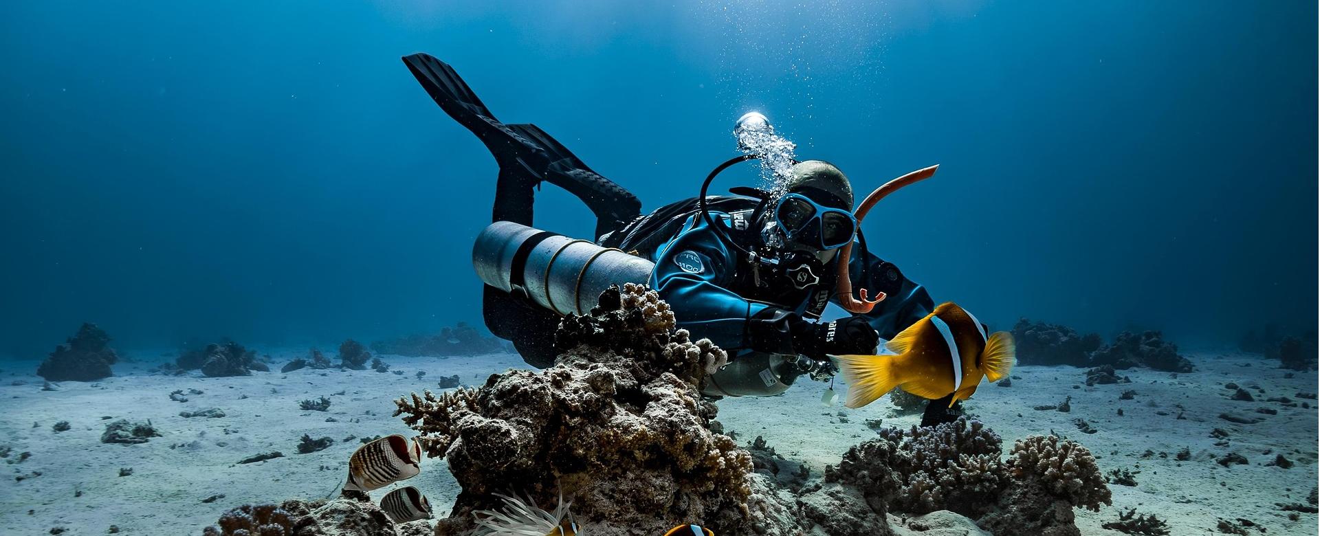 CRESSI Soldes Boutique -CRESSI Soldes Boutique diver 9328628 1920